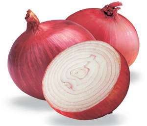 Onion - Natural Flu Protection - Rays of Wisdom
