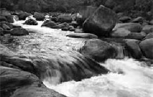 All Of Life Is Flowingness - Rays of Wisdom - Words & Prayers of Hope & Encouragement - The Great River Of Life