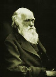 Rays Of Wisdom – Our World In Transition – Ideas That Changed Our World – Charles Darwin - One Of The Fathers Of The Evolutionary Theory
