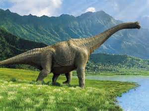 Rays of Wisdom – The Universal Christ Now Speaks To Us And Our World – Was I Ever A Dinosaur?