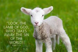 Rays of Wisdom – The Universal Christ Now Speaks To Us And Our World – The Lamb Of God