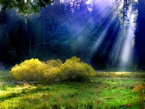 Rays Of Wisdom - Worte Des Trostes Und Der Hoffnung - Was Ist Unser Gott?