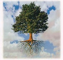 Rays Of Wisdom - War And Peace Among Nations - My Spiritual Roots
