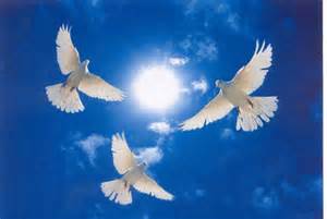 Rays of Wisdom - War And Peace Between Nations - Christmas Message From The World of Light 2014