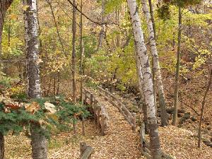 Bridge through the woods - Rays of Wisdom - Words & Prayers Of Hope & Encouragement