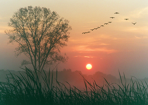 Rays Of Wisdom - Words Of Hope And Encouragement - Greetings To The Dawn