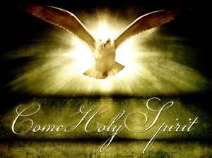 Dove of Peace - Healing Prayer - Rays of Wisdom - Healing Words & Prayers