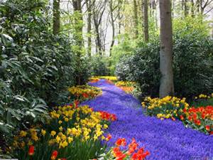 Rays of Wisdom = Words Of Wisdom For The Seasons Of The Year - Celebration Of Spring