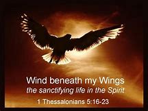 Rays Of Wisdom - Songs Of Inspiration - You Are The Wind Beneath My Wings