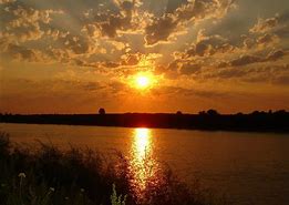 Rays Of Wisdom - Our World In Transition - To Jab Or Not To Jab - The Driving Force Behind The Pandemic